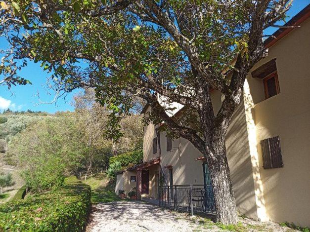 Agriturismo Il Giardino Понтассьеве Экстерьер фото